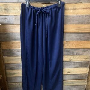 Womens Size Large Kim Rogers Navy Pants